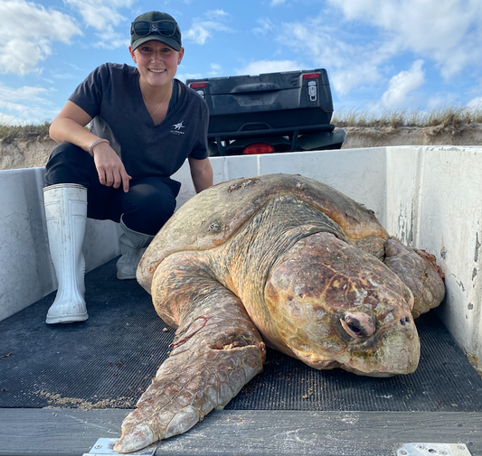 Tide Talk Blog with a Marine Biologist & Outreach Coordinator