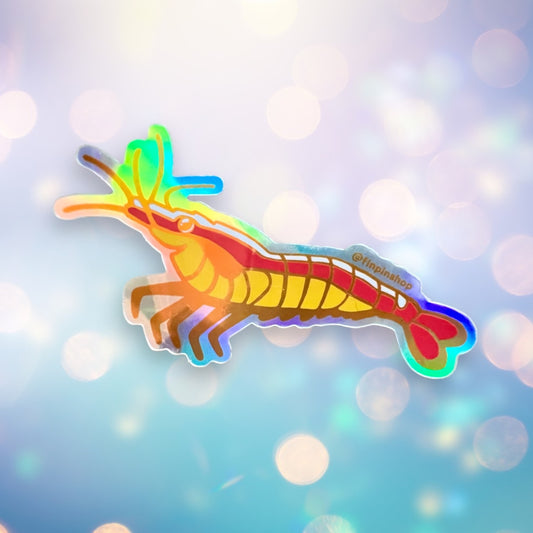March 2024 Patreon Pacific Cleaner Shrimp Sticker