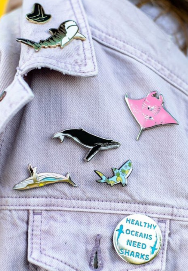 mystery enamel pin