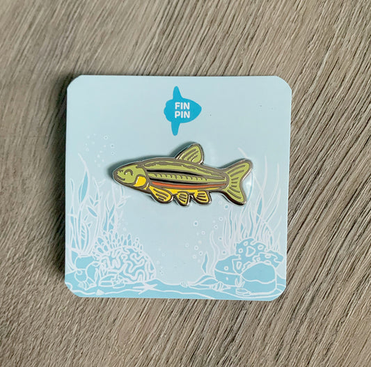 northern redbelly dace fish enamel pin - donation item