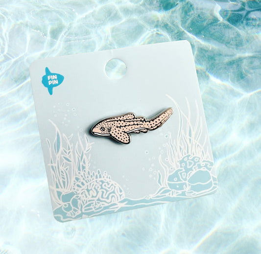 Zebra/Leopard shark (Stegostoma fasciatum) enamel pin