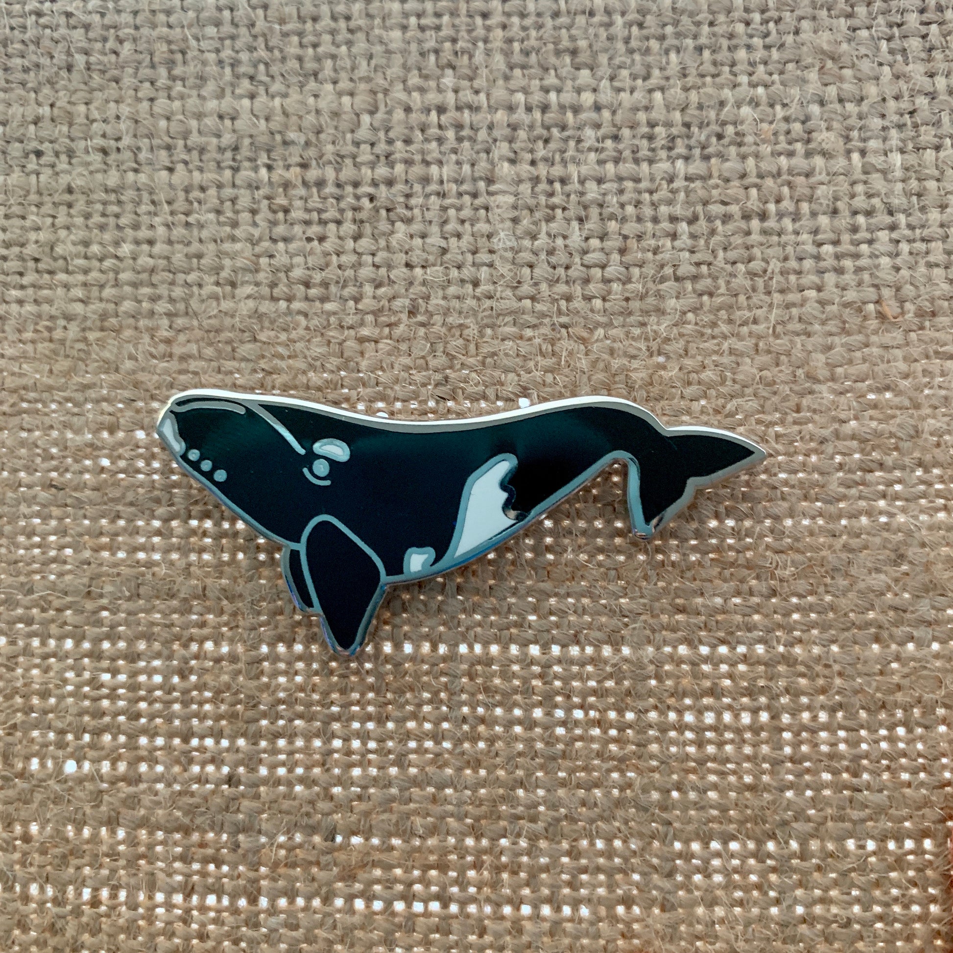 southern right whale cetacean pin
