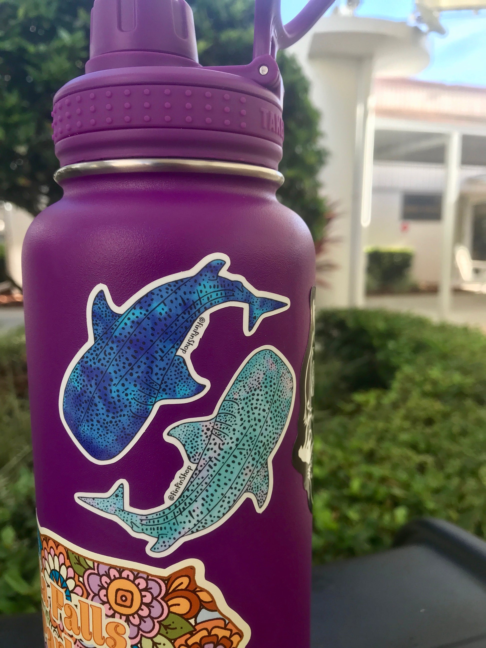 whale shark sticker