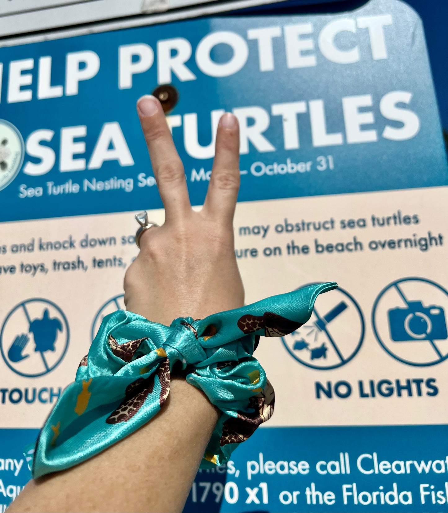 Loggerhead Sea Turtle Scrunchie