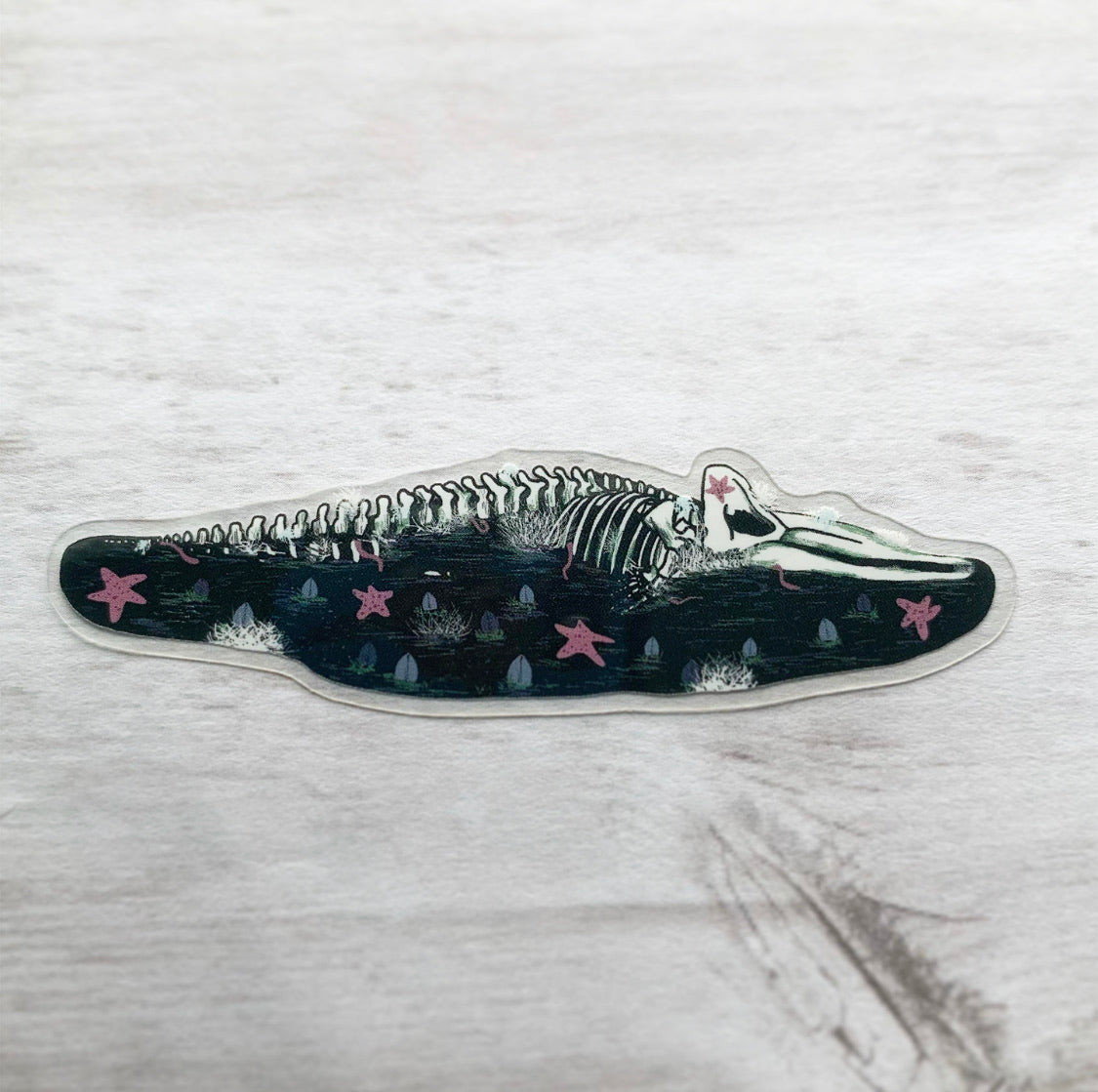 humpback whale fall sticker donation sticker