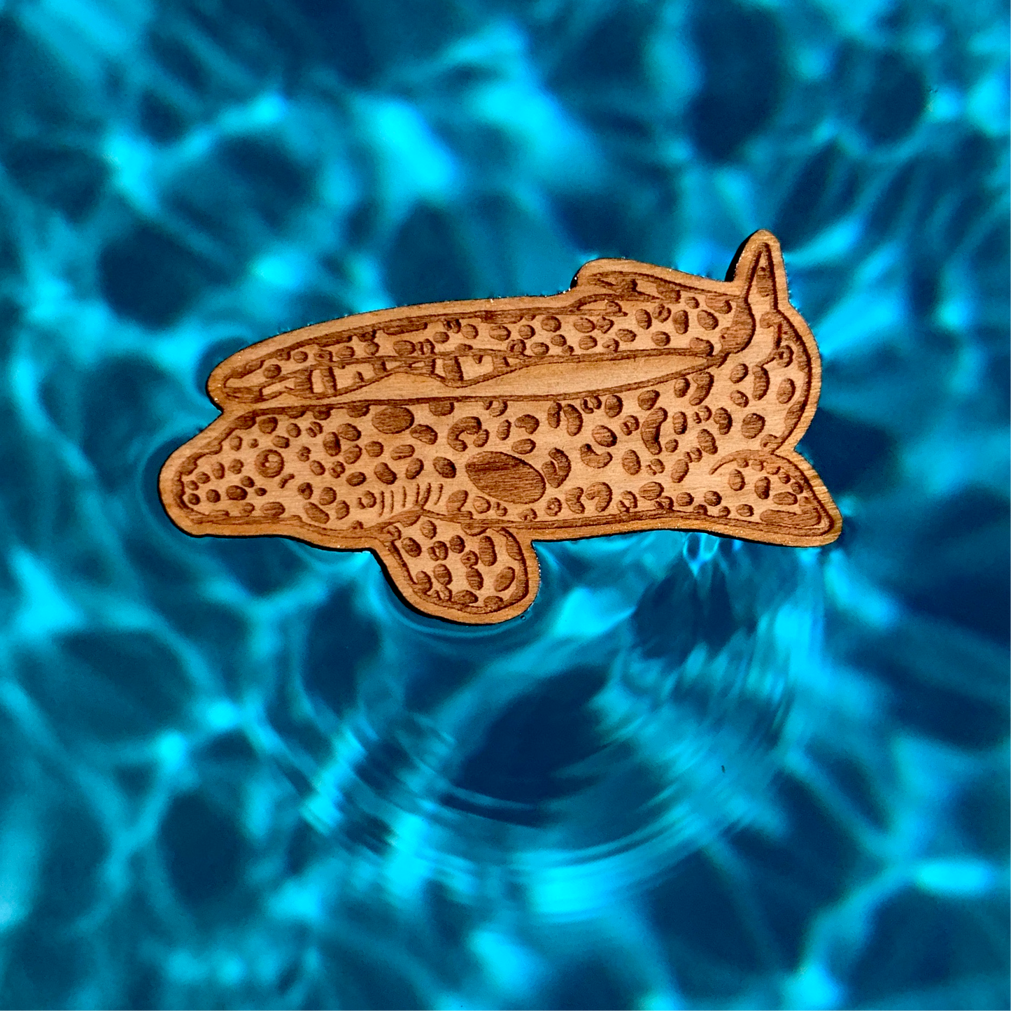 milne bay leopard epaulette shark eco-friendly wood pin