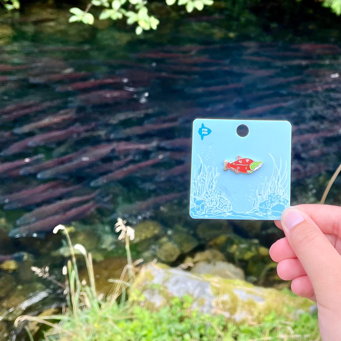 Sockeye salmon enamel pin
