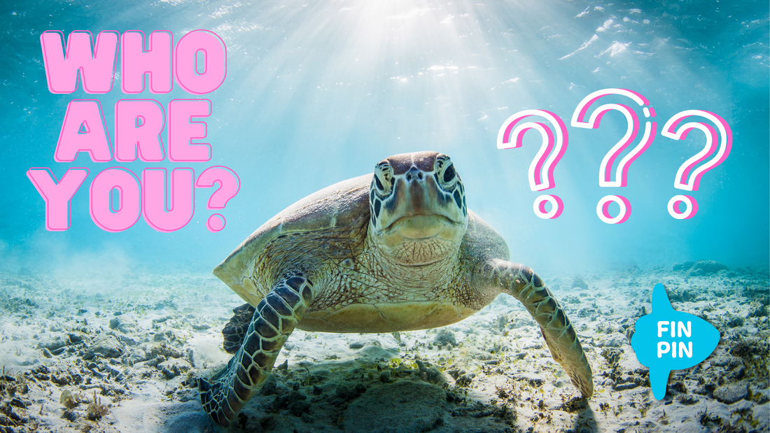 Which Sea Turtle Are You?