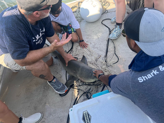 Tide Talk Blog Post with Aziz Hassanali, Marine Biologist, Graduate Student and more!