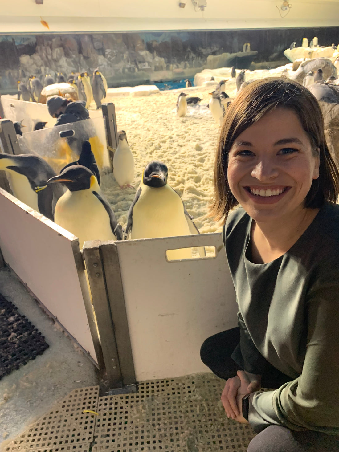 Tide Talk Blog with Penguins International