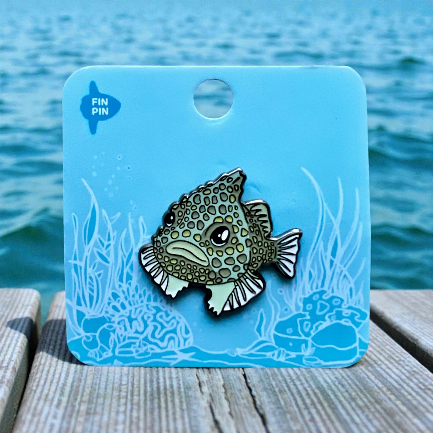 Pacific spiny lumpsucker pin