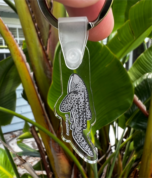 Leopard/zebra shark mini acrylic keychains