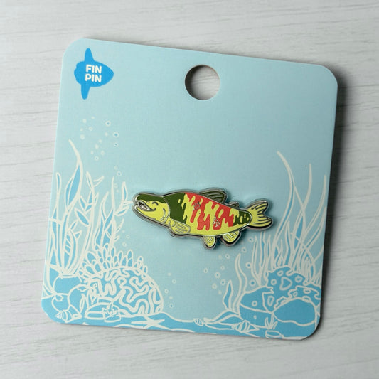 Chum salmon enamel pin