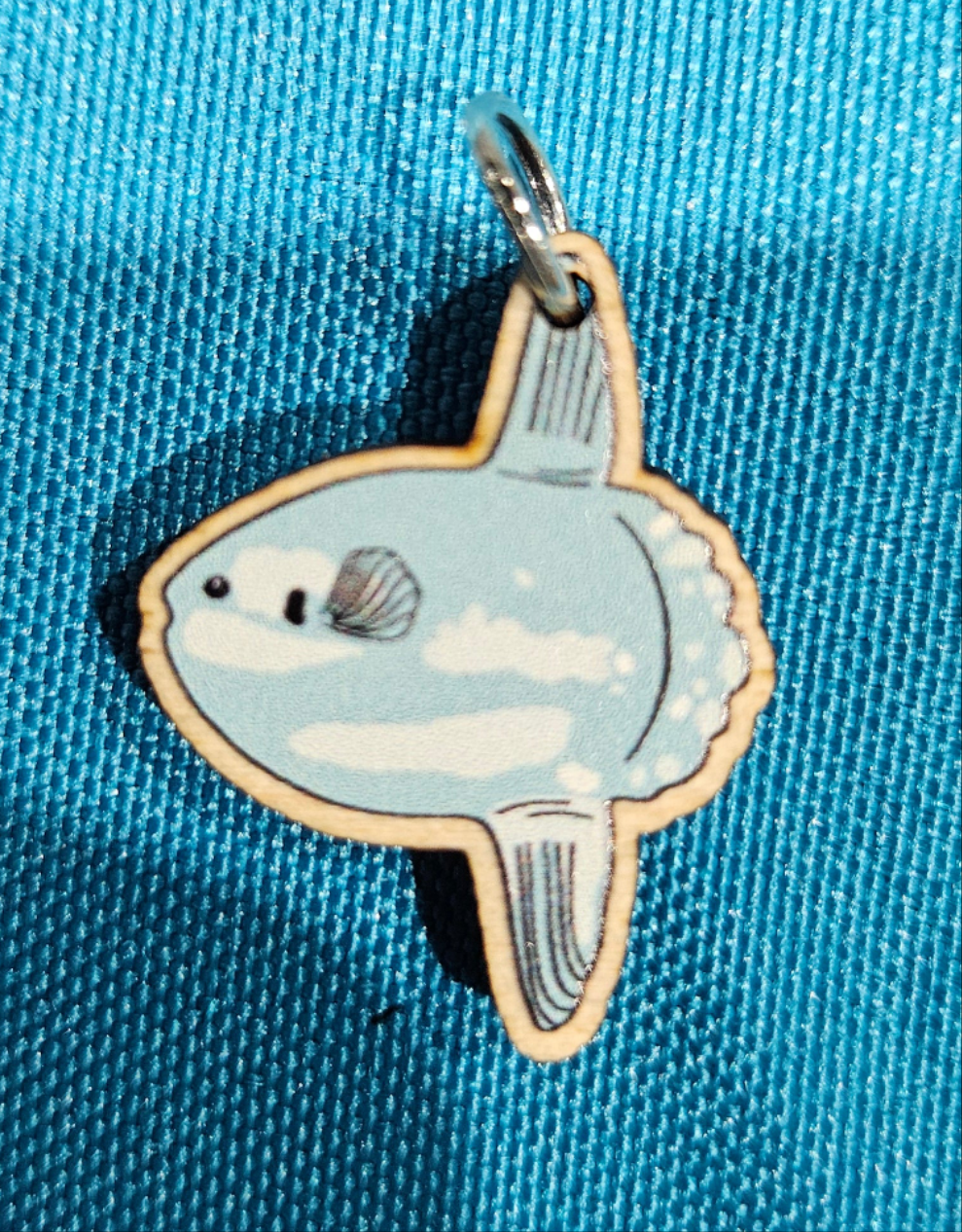 Mola Mola charm