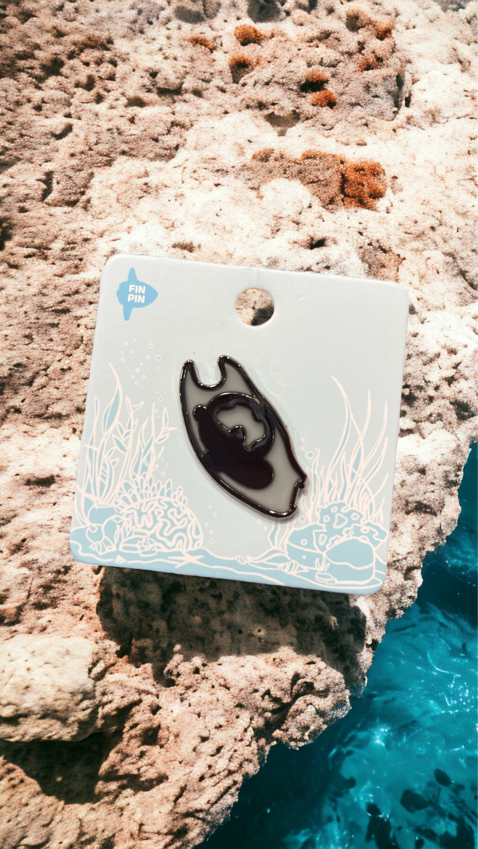 Swell Shark (egg case aka mermaid's purse) | TAXONOMY Kingdo… | Flickr