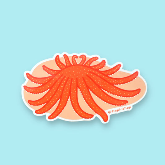 Sept 2024 Patreon Sunflower Sea Star Sticker