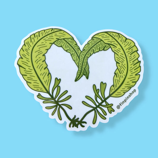 February 2026 Patreon • Badderlocks (Alaria esculenta) Kelp love sticker