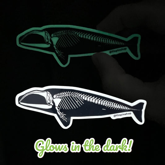 Oct 2024 Patreon GLOW IN THE DARK right whale skeleton Sticker