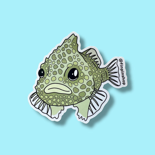 May 2025 Patreon • Pacific spiny lumpsucker sticker