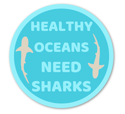 Healthy Oceans Need Sharks Sticker