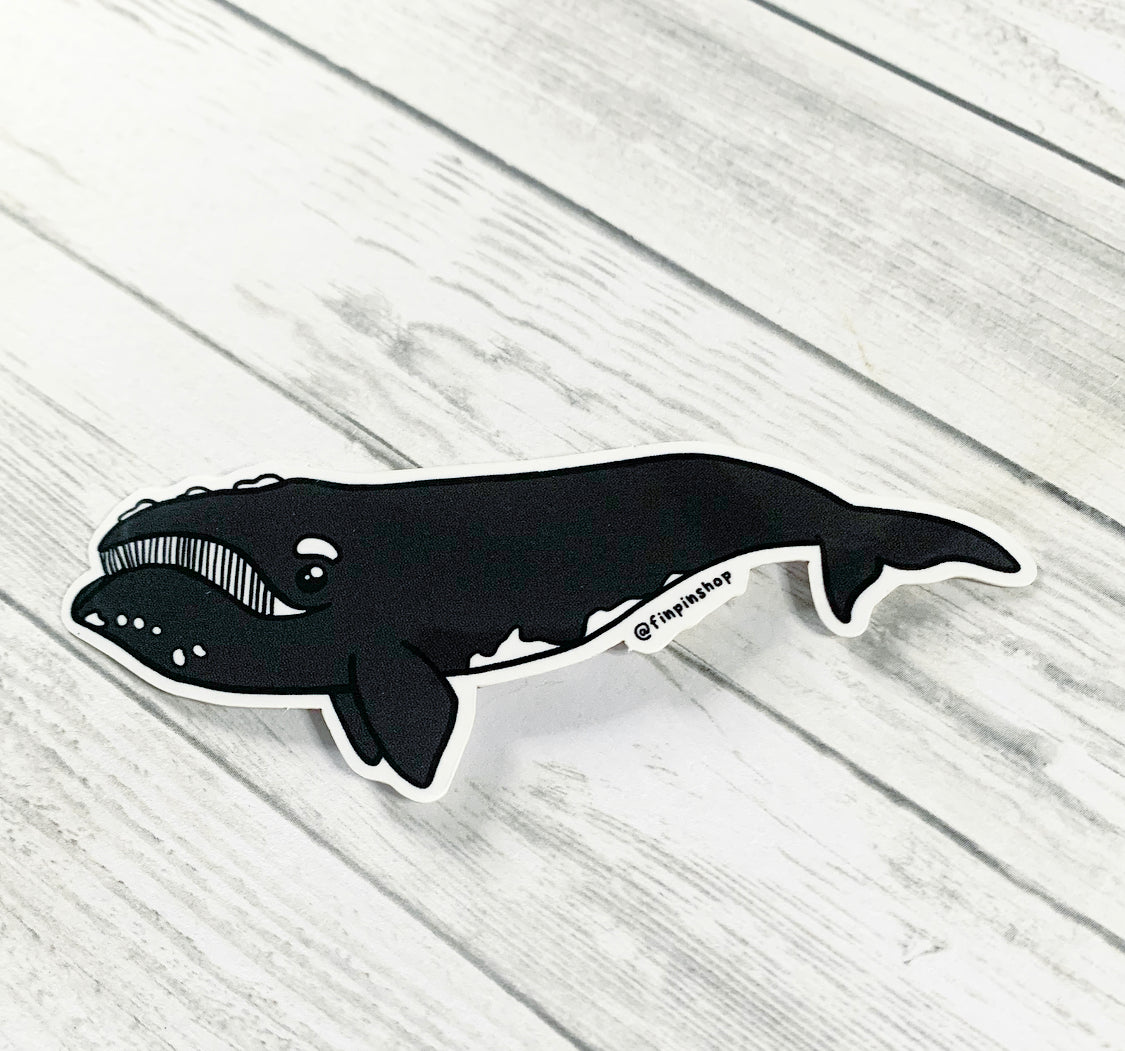 Right Whale Sticker
