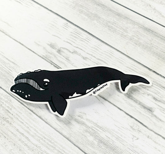 Right Whale Sticker