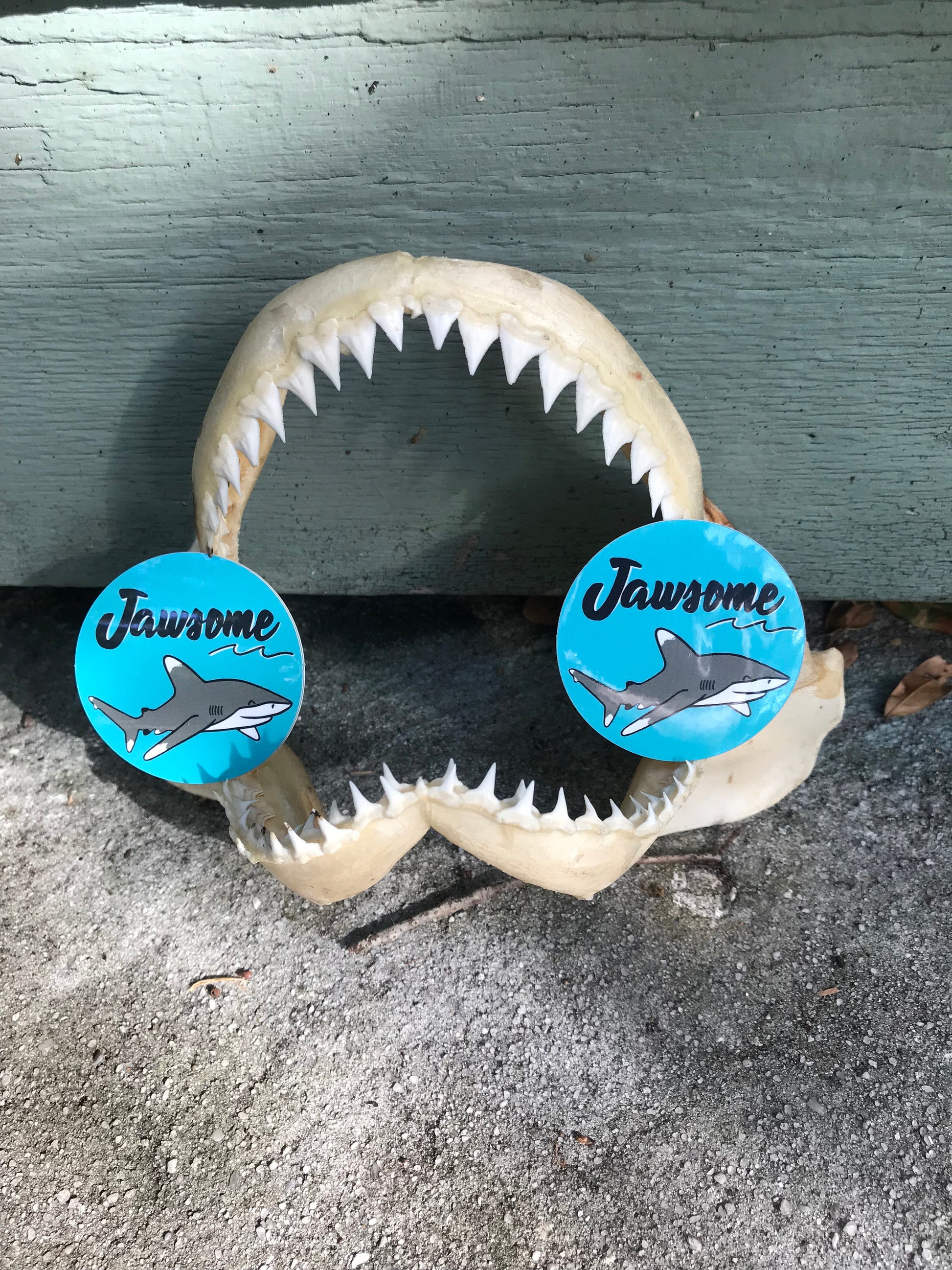 jawsome shark sticker
