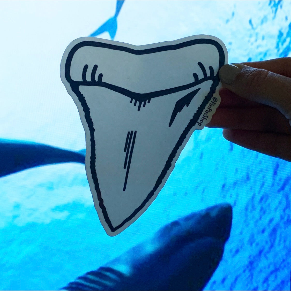 shark tooth sticker