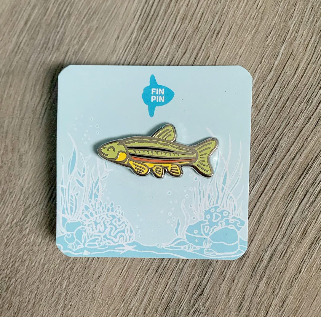 northern redbelly dace fish enamel pin - donation item