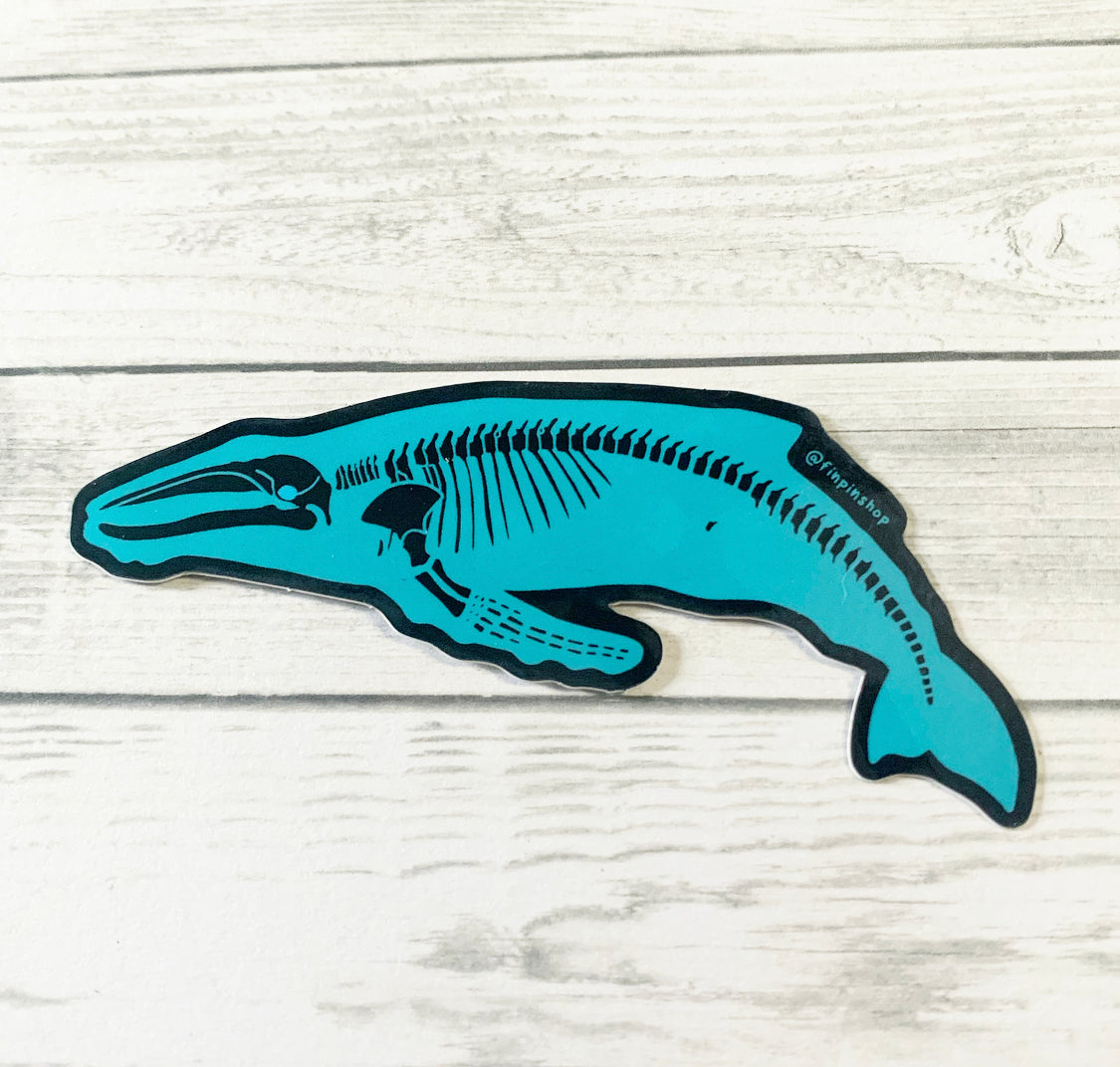 humpback whale skeleton sticker