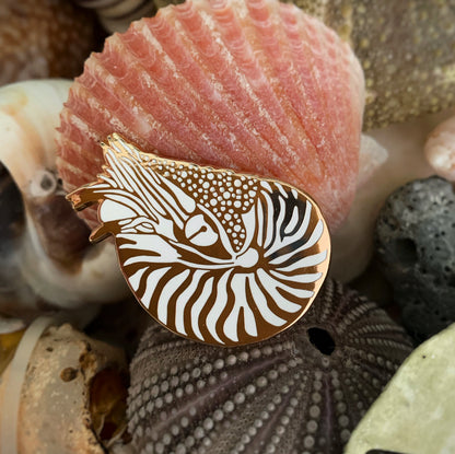 six chambered nautilus enamel pin (cephalopin)