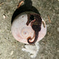 black seahorse skelepin