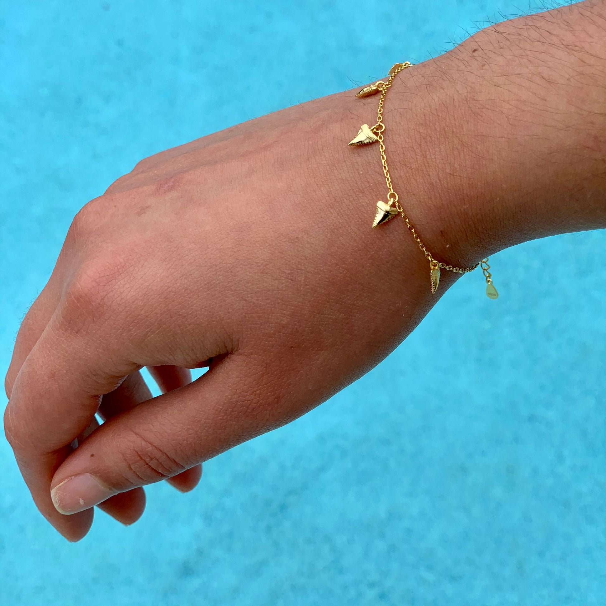 shark tooth bracelet • 18k gold
