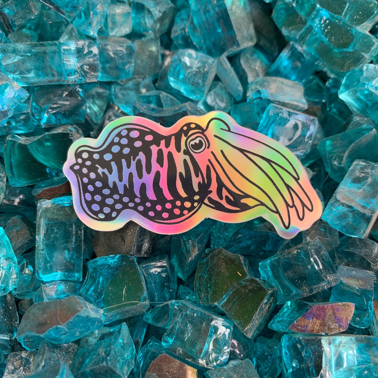 holographic rainbow cuttlefish sticker