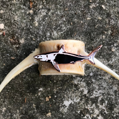shark skelepin