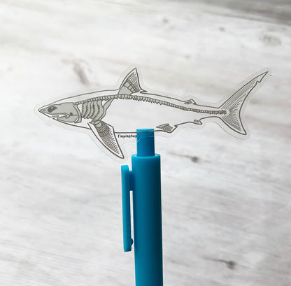 skeleton shark transparent sticker
