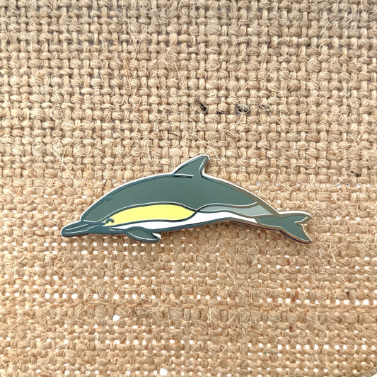 common dolphin cetacean pin