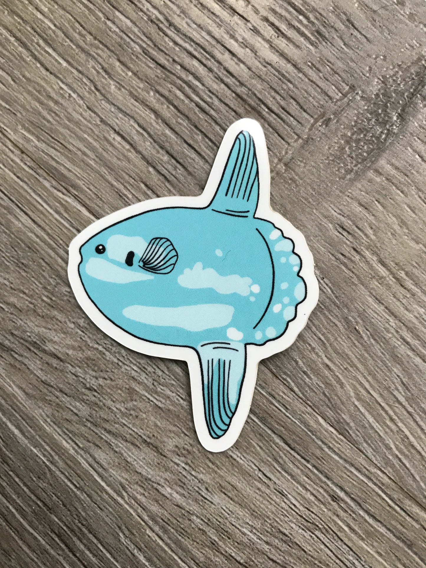 mola mola sticker