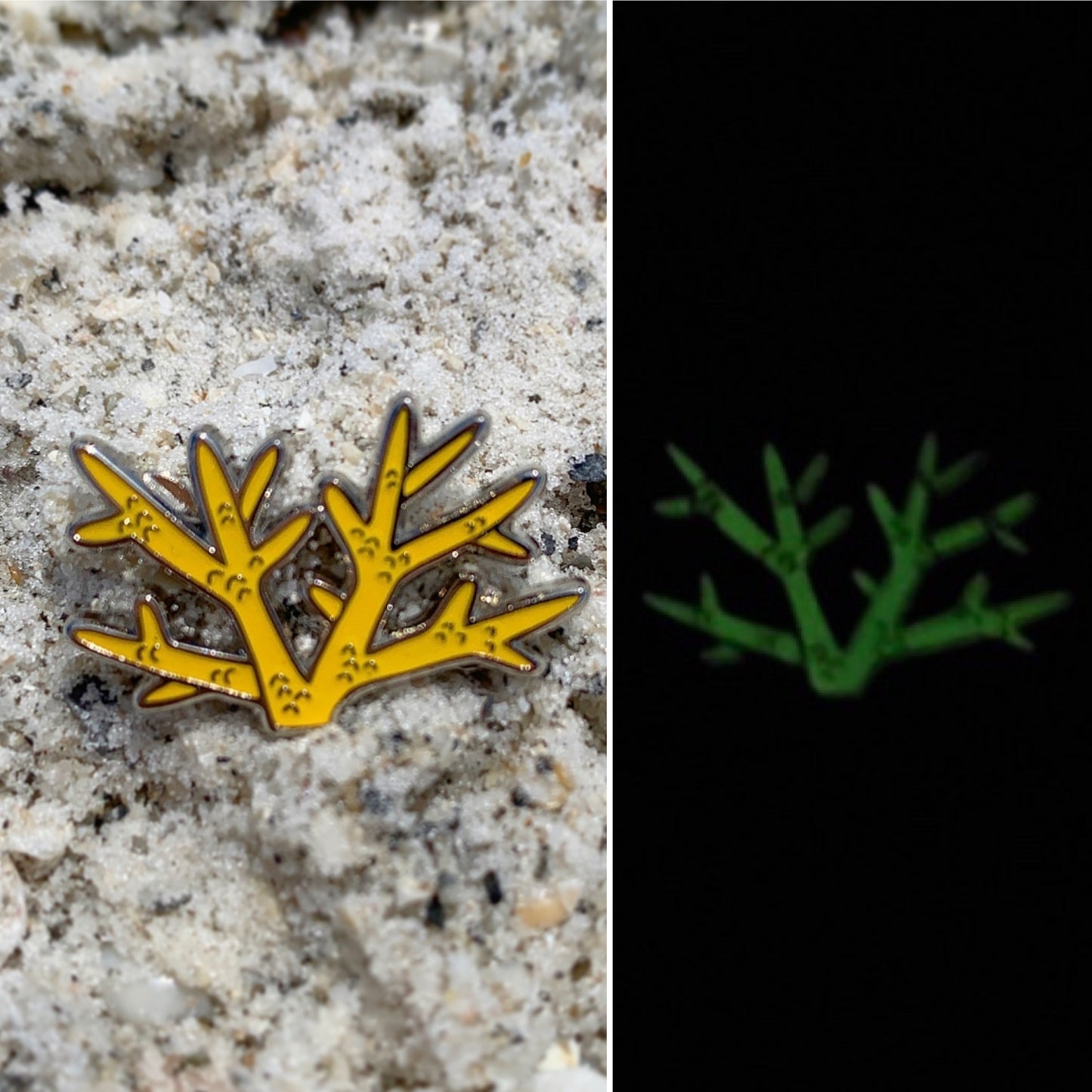 glow staghorn coral pin • donation item crf