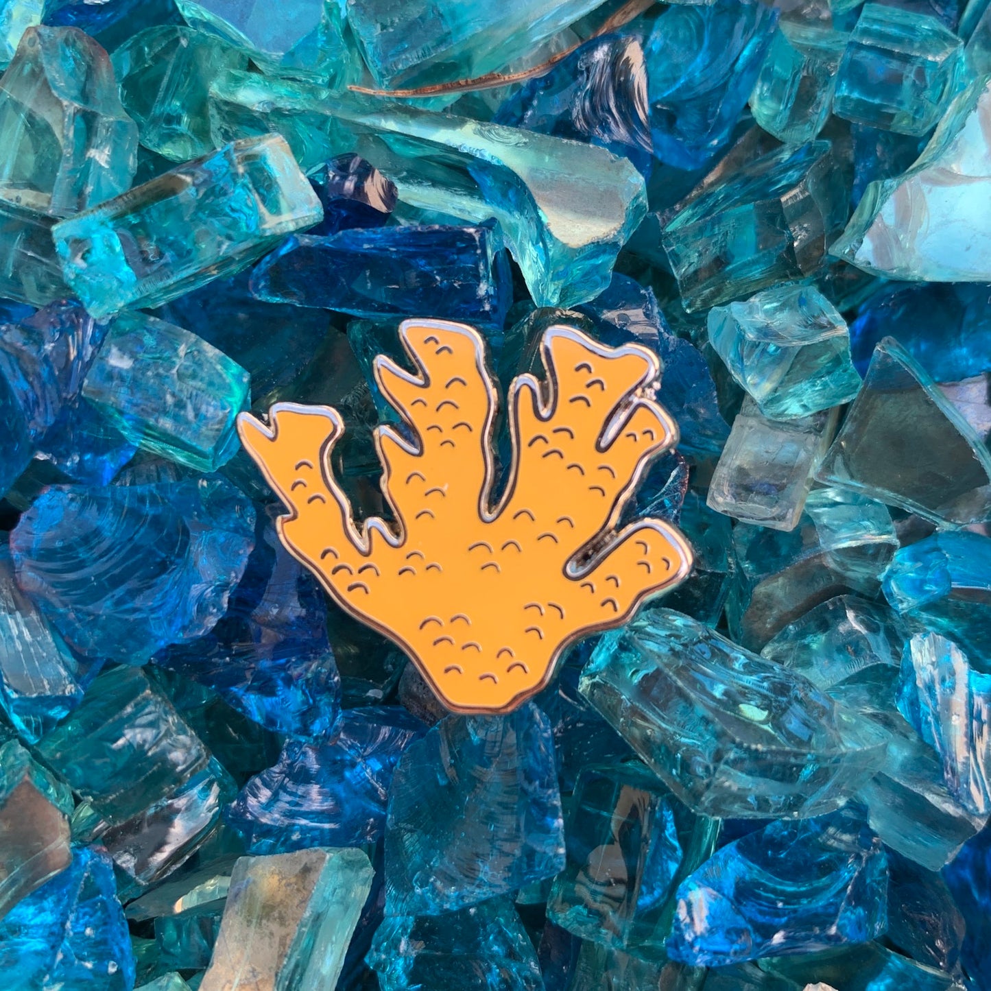 glow elkhorn coral pin • donation item crf
