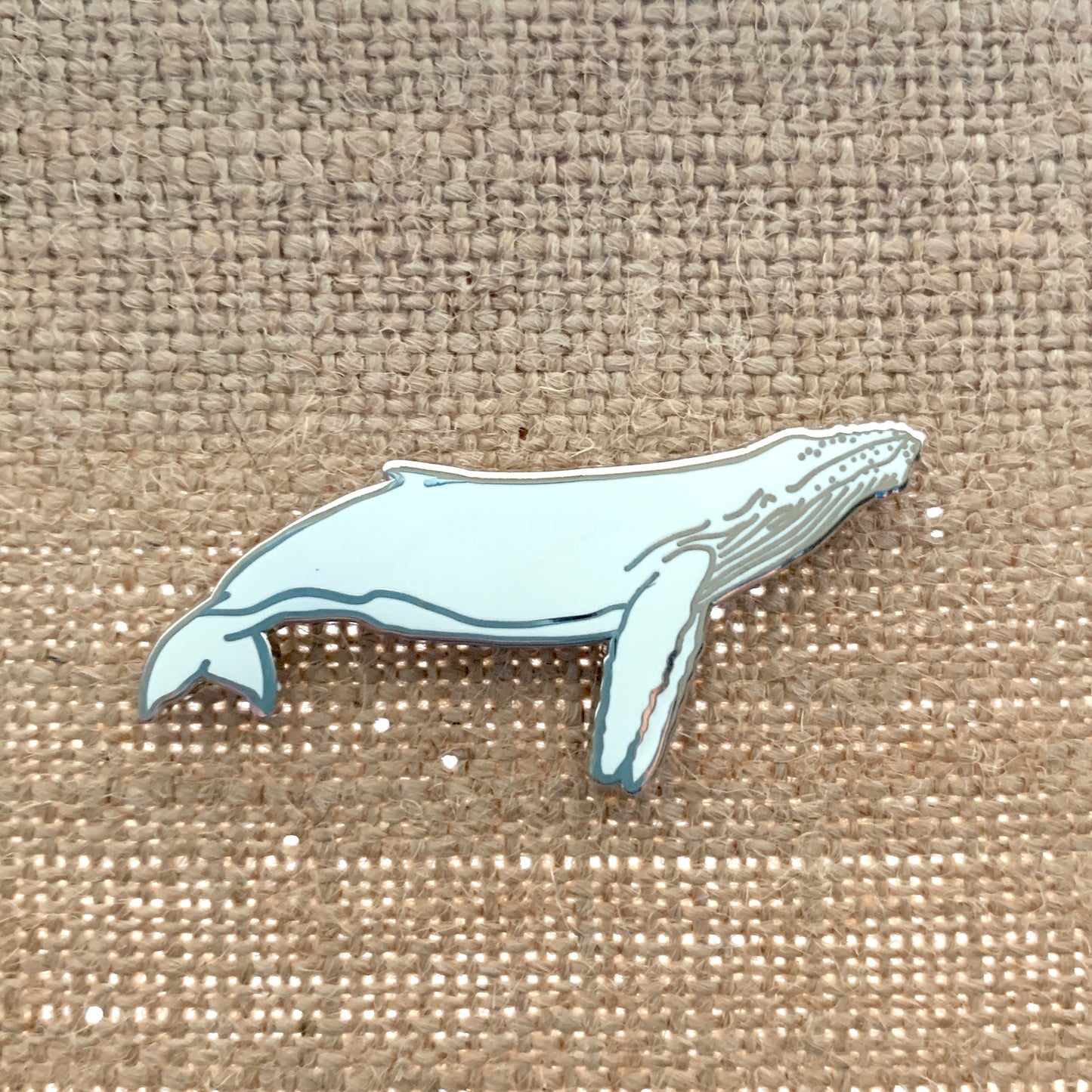 migaloo whale cetacean pin