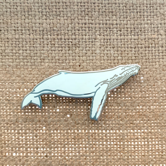 migaloo whale cetacean pin