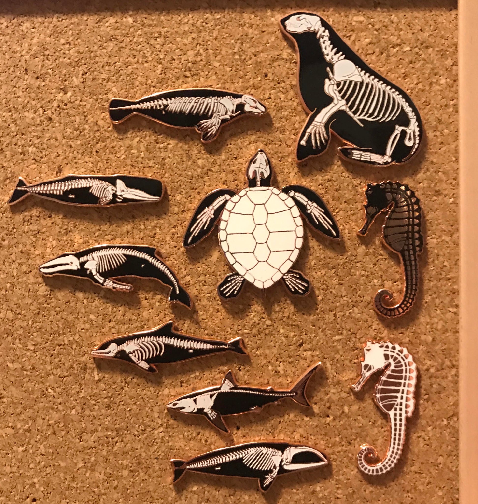 humpback whale skelepin donation item