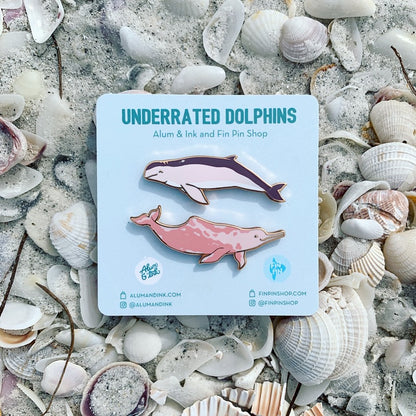 underrated dolphin pin set i: amazon river dolphin and australian snubfin dolphin