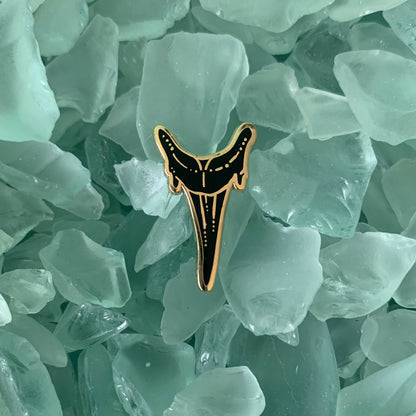 shark tooth i enamel pins • donation to saving the blue sand tiger shark tooth (1 pin)