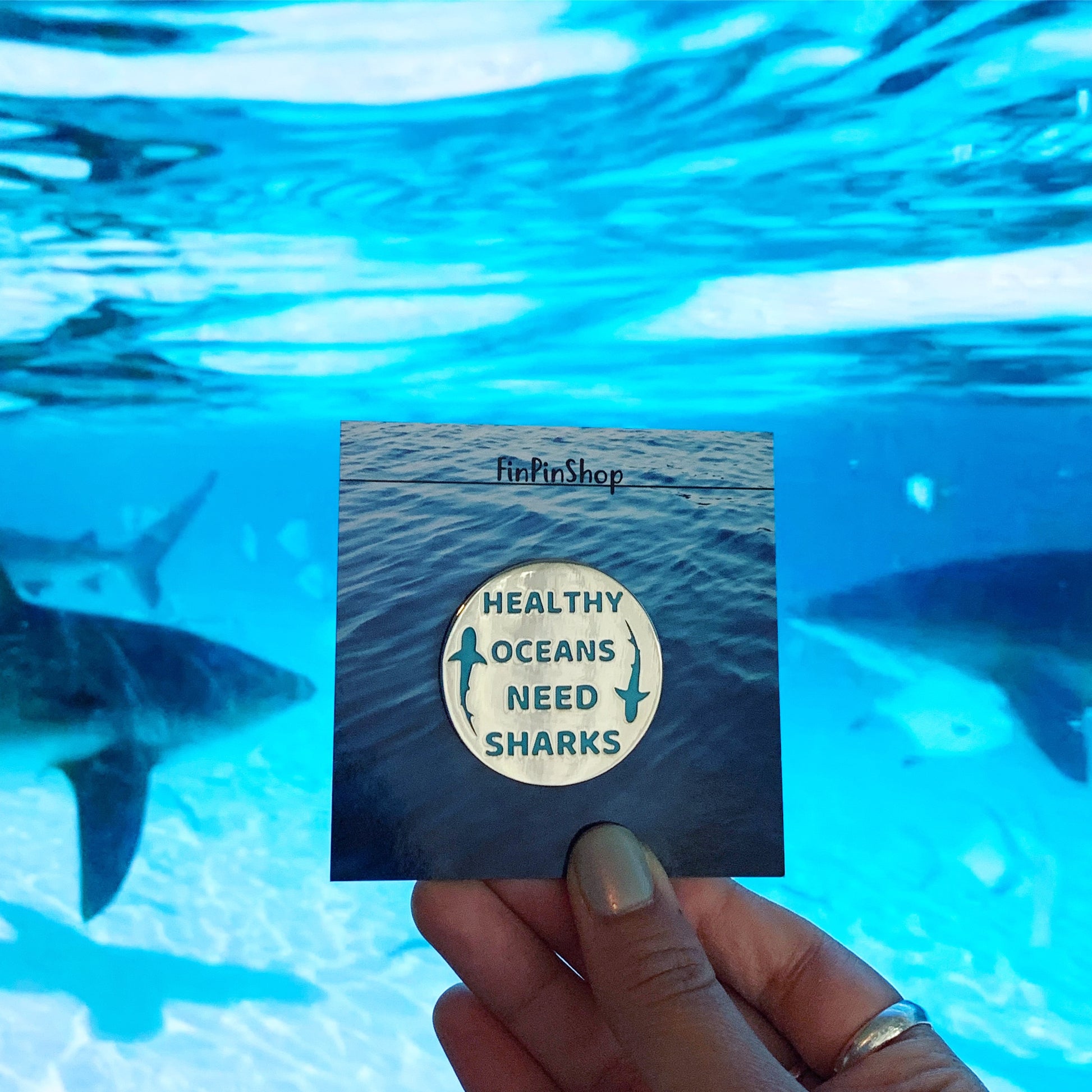 healthy oceans need sharks enamel pin