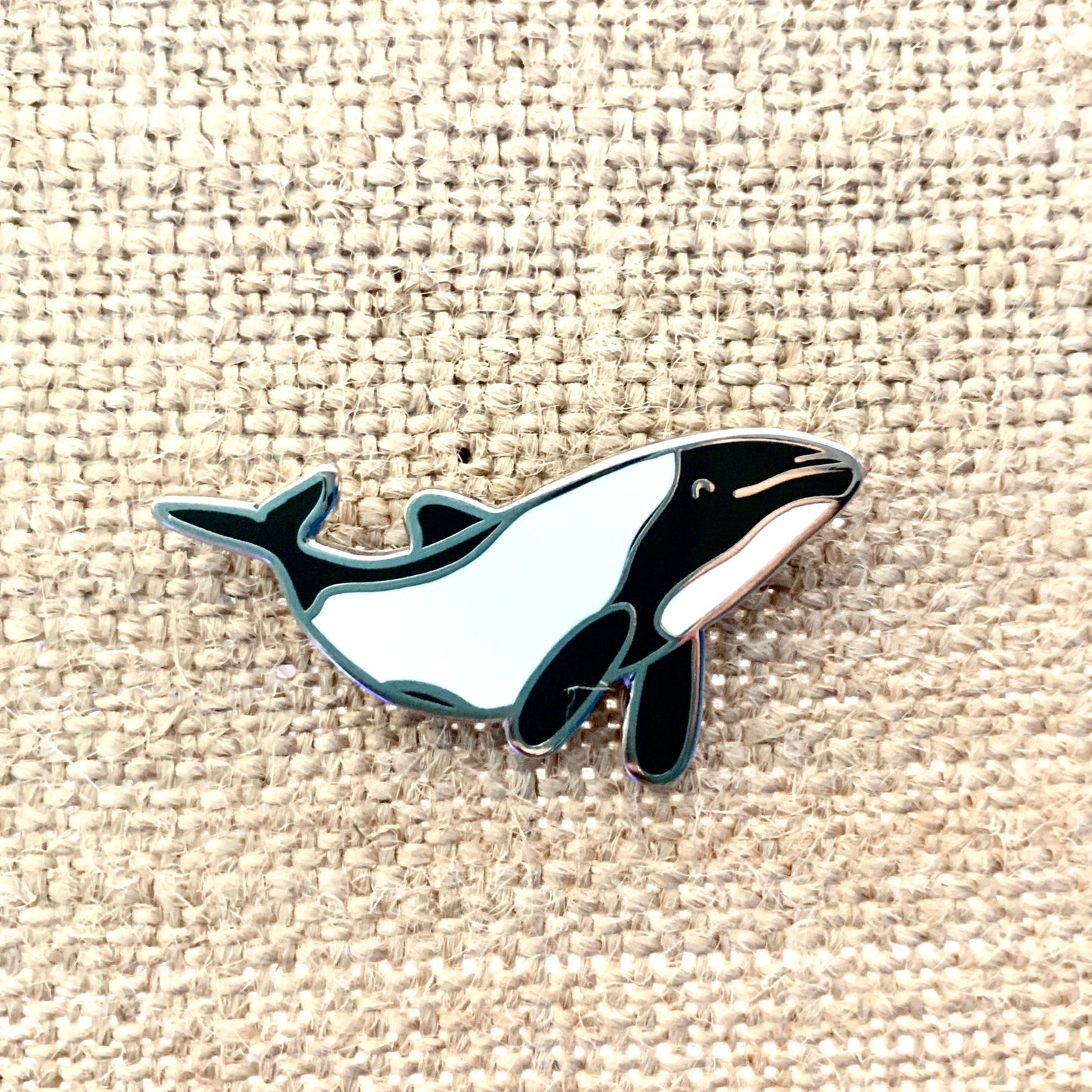 commerson’s dolphin cetacean pin
