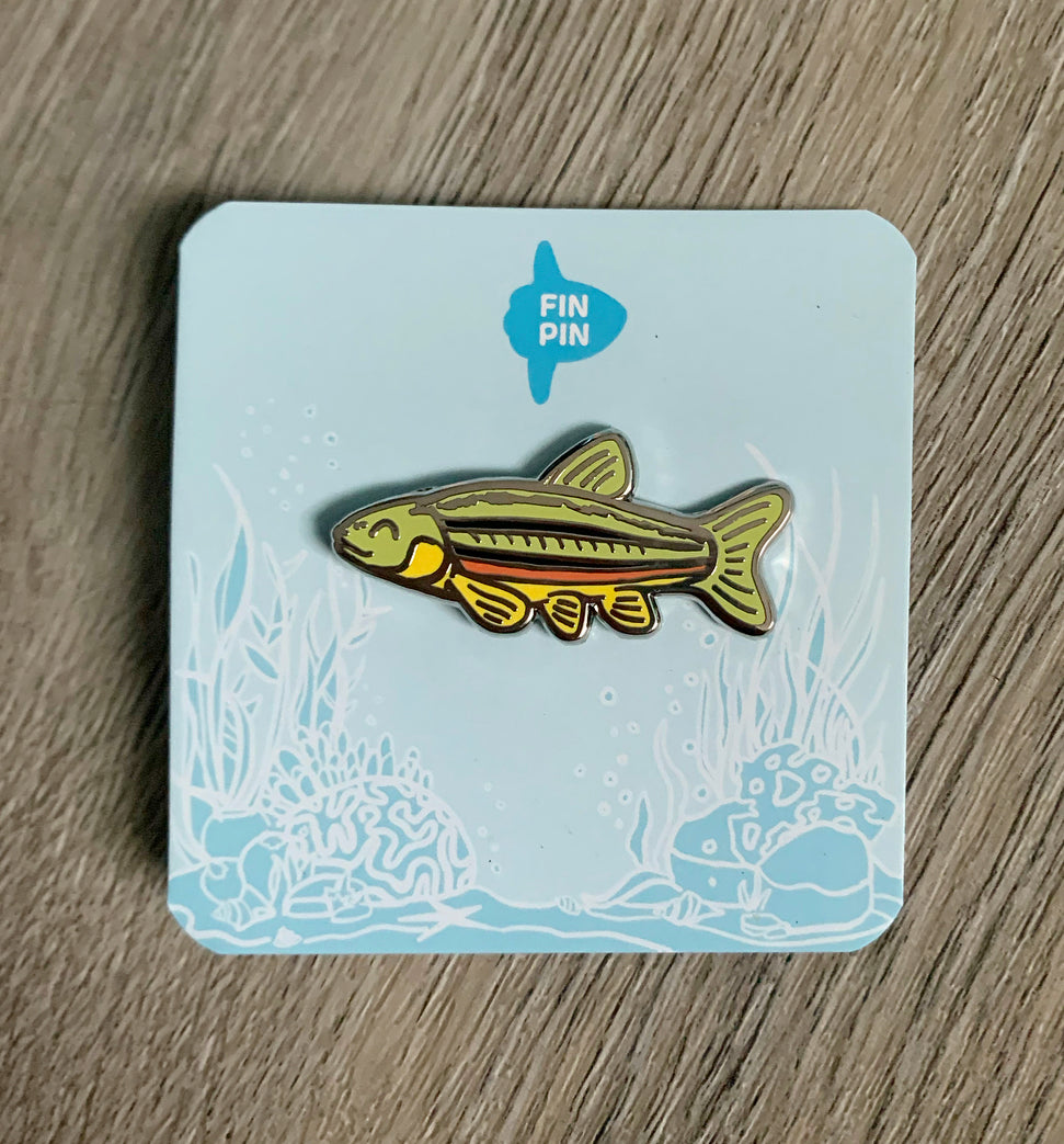 northern redbelly dace fish enamel pin - donation item