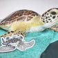 greene bean sea turtle sticker • donation item