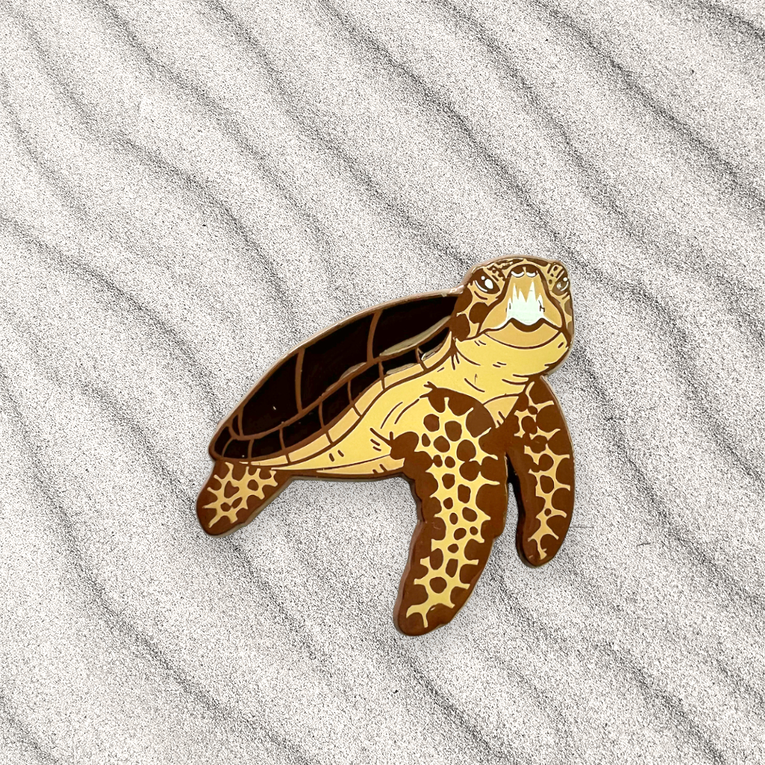 loggerhead sea turtle enamel pin • donation item